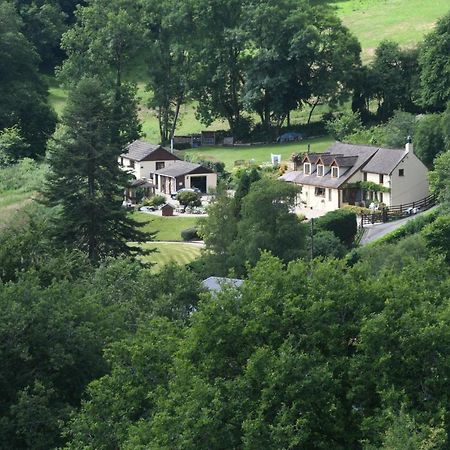 Ty Twt - Complete Holiday Home Llandysul Exterior foto