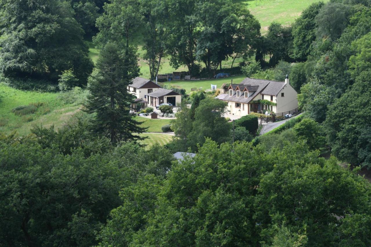 Ty Twt - Complete Holiday Home Llandysul Exterior foto