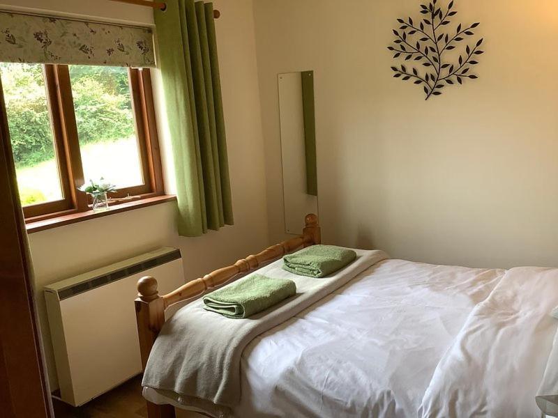 Ty Twt - Complete Holiday Home Llandysul Exterior foto