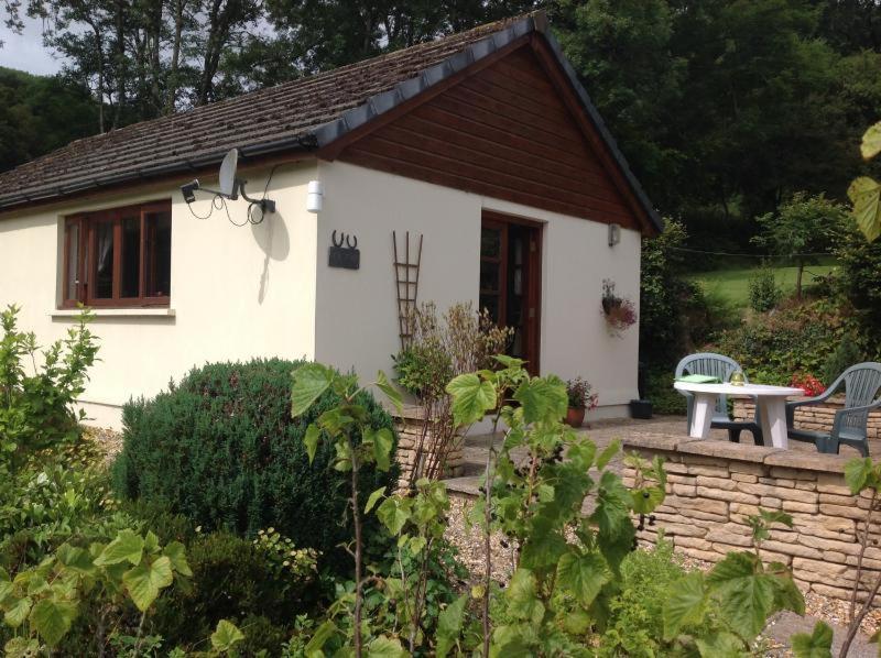 Ty Twt - Complete Holiday Home Llandysul Exterior foto
